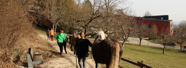 Camphill Schulgemeinschaften